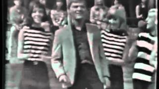 Brian Hyland - The Joker Went Wild