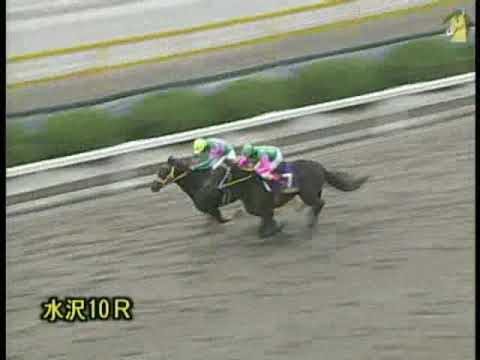 第32回 南部駒賞◆H16（2004/11/14）