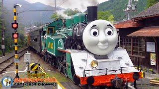 Download lagu 【Train】Railroad crossing movie62 Oigawa Railway Oigawa Main Line  DAY OUT WITH THOMAS in Japan mp3 Download lagu 【Train】Railroad crossing movie62 Oigawa Railway Oigawa Main Line  DAY OUT WITH THOMAS in Japan mp3