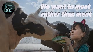 We want to meet rather than meat. Families building Korea's first cow sanctuary | 240119 KBS