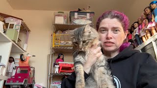 Small American Girl Haul- Dolly Dreams Ep 905