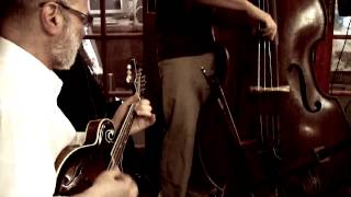 Andy Statman Trio, Live in NYC: Bluegrass Breakdown