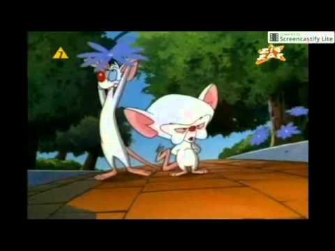 a co bedziemy robic jutro