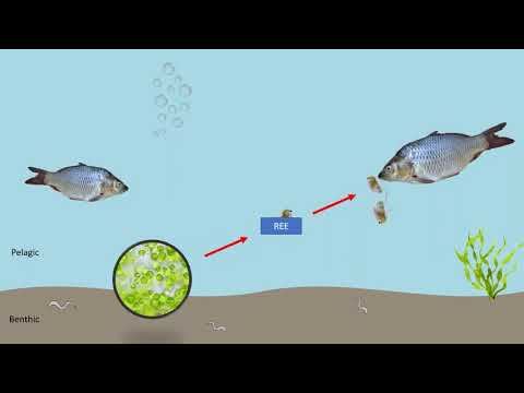 Chantal Van Drimmelen - ESR9 - Hamburg University of Applied Sciences