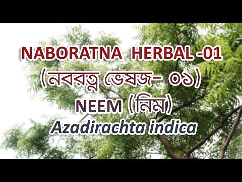 NABORATNA HERBAL -01 NEEM