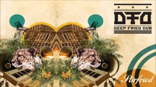 Deep Fried Dub - Kryptology (Meeting By Chance Remix)