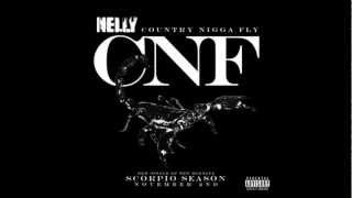 Nelly   Country nigga fly