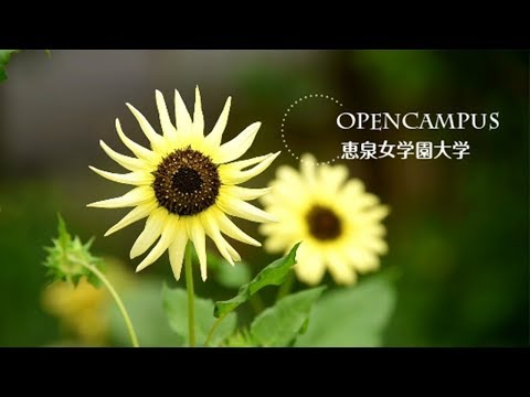 2017年8月27日　オープンキャンパスの様子