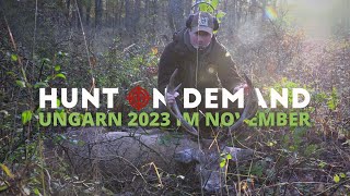 Ungarn 2023 im November 🇭🇺 Hirsch und Kahlwildjagd von @Hunterfieber