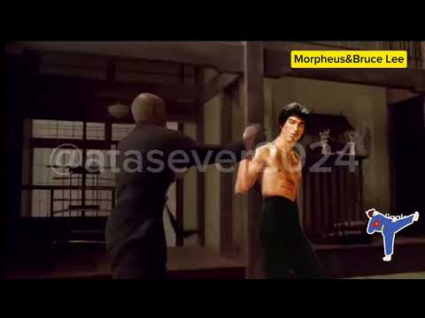 morpheus vs bruce lee