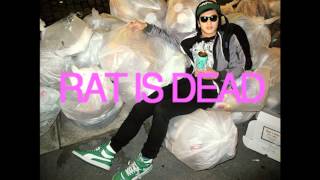 EXOSKELETONE - Rat is Dead (CSS cover)