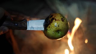The Tastiest Campfire Snack You Will Ever Have (Simple and Cheap!)