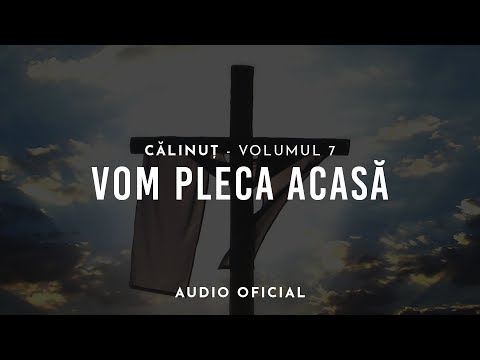 CĂLINUȚ - VOM PLECA ACASĂ ( AUDIO OFICIAL 2018 )