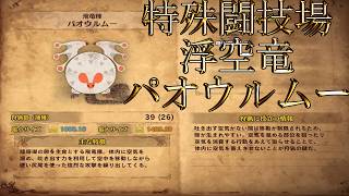 【切り抜き】限界までやり続けるMONSTER HUNTER WORLD：ICEBORNE 特殊闘技場パオウルムー編