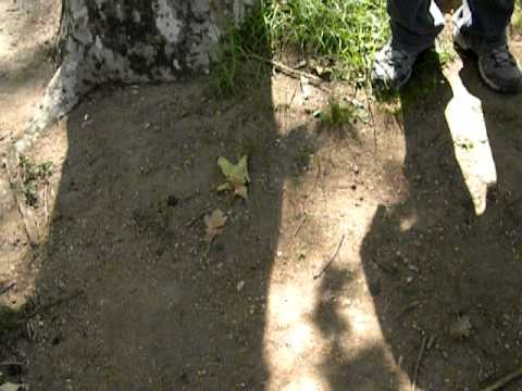 Trote Engenharia Química Unipampa - Bagé 20/03/2012 (Parte 6)