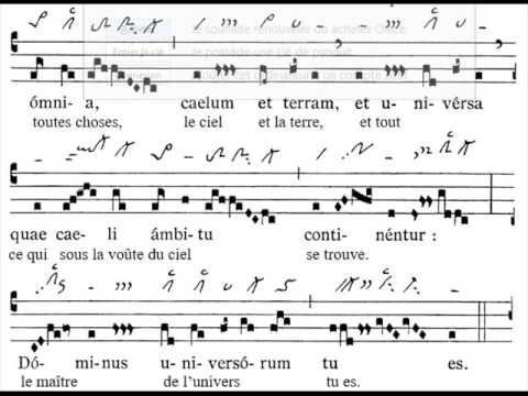 Introitus In voluntate tua, Dominica XXVII TpA (27 TO)
