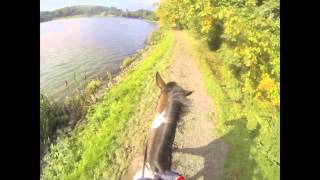 Katie Corteen Coniston Cold Novice Hunter Trials 2013