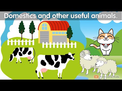 Domestics and Other useful animals for kids | ‪@AAtoonsKids‬