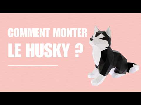 Husky - vidéo de présentation