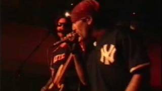 The Dictators Live in Oviedo 1996 - "California Sun"