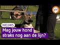 Nieuwe dierenwet roept veel vragen op, ook bij deze dierenarts