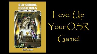 RPG OSR Review: OSE Advanced Fantasy