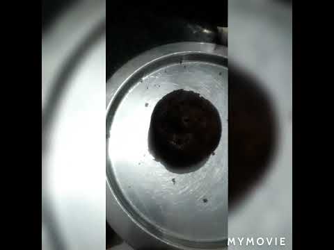 making the  chocolate lava cupcake,no  egg  madia   cocoa powder   condensed milk