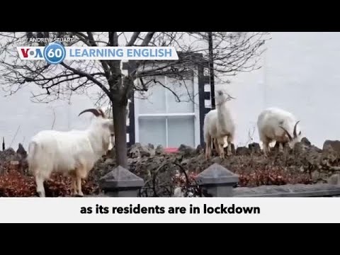 VOA60：2020年3月31日 (VOA60: March 31, 2020)