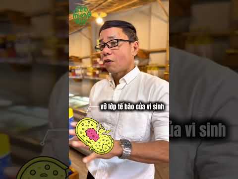 Cùng tìm hiểu về Umikai 