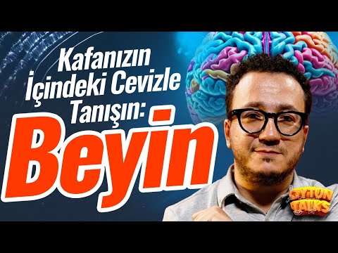 Beyin ve Hayat Arasındaki Bağ! Beyninizin Hangi Bölgesinde Hangi İşlev Var? Keşfedin! | Oytun Erbaş