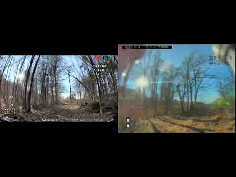 HDZero 200 mW vs Analog 800 mW Forest Penetration Test