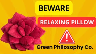 Green Philosophy Co. review- relaxing cushion from green pillows Philosophy co.-green Philosophy co.
