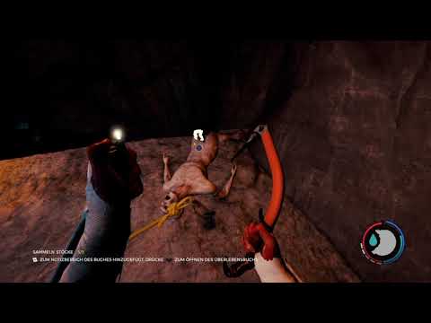 The Forest Speedrun 3 / Ab ins Labor !