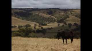 preview picture of video 'CLIFF FARM: 360° Panorama View from the Top of the Hill (12 Dec 2013)'