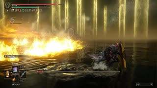 エルデンリングのエルデの獣に勝ったけど、、、