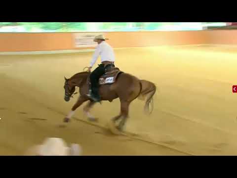 NRHA Germany Summer Slide - Jackpot SBHR 3 yo Open - Oliver Stein & SHINE LIL WHIZ