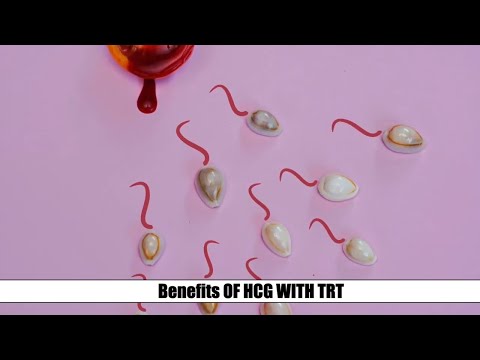 Do You Have to Take HCG on TRT?