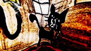 Soy un Gato- Conchita