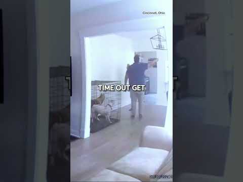 Update on girl running away from her mom's boyfriend to her neighbour's house #ohio #family