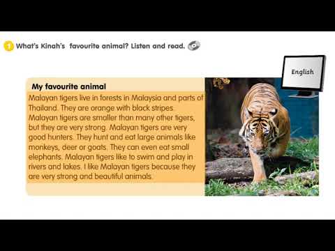 Get Smart Plus 4 Module 8 My favouri…: English ESL video lessons Get Smart Plus 4 Module 8 My favouri…: English ESL video lessons