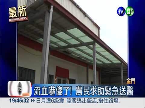 軍人打靶噴碎片?農民種菜竟中傷