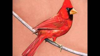 Alexisonfire - Emerald Street