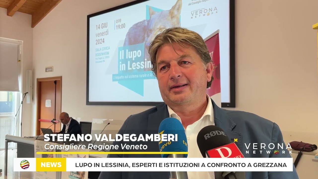 Descrizione dell'immagine