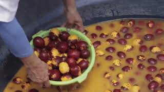 Despolpadeira de buriti Vídeo Despolpadeira de buriti