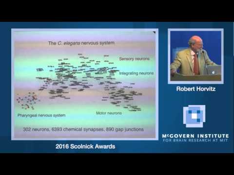 Cornelia Bargmann, Genes, Neurons, Circuits, and Behavior: 2016 Scolnick Prize Lecture