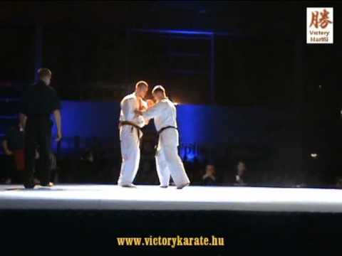Kokoro Cup 2010, Sandor Kovacs vs. Marek Odzeniak