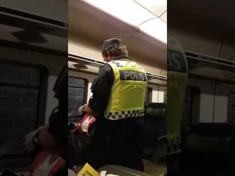 Swedish immigration polis on duty for immigrants passport control 😎