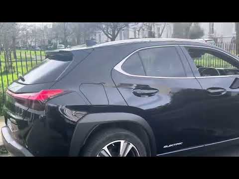 2021 Lexus UX 300e