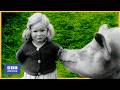 1957 Running A FAMILY FARM Family Farm World Of Work BBC Archive