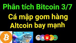 Phân tích bitcoin altcoin hôm nay ngày 3/7 cập nhật thị trường crypto mới nhất hôm nay